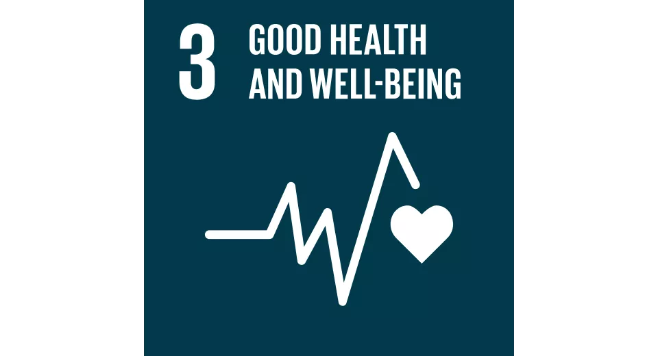 SDG 3