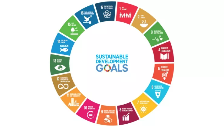all sdg's